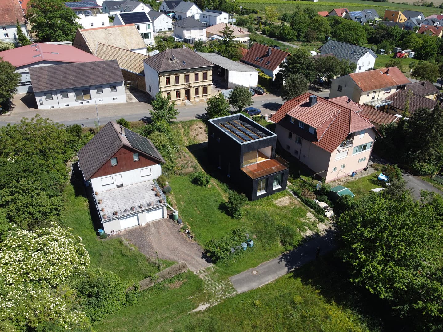 Umgebung des MANDAHAUS: Weinberge und offenes Gewässer in Wolfsheim, Rheinhessen
